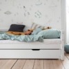 Hoppekids Eco Dream bed + onderschuifbed 90x200a