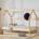 Pinio Housebed1
