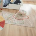Lifetime Olympic Dreams vloerkleed sfeer