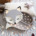 Peekaboo lamp Vos grijs2