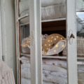 Peekaboo lamp Walvis beige6
