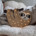 Peekaboo lamp luiaard8