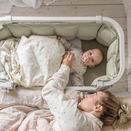 Sebra co sleeper wit1